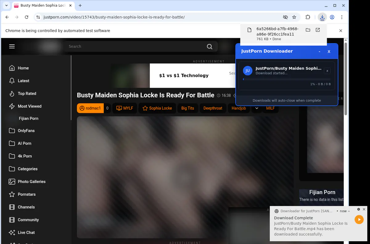 Justporn Video Downloader browser extension screenshot 2