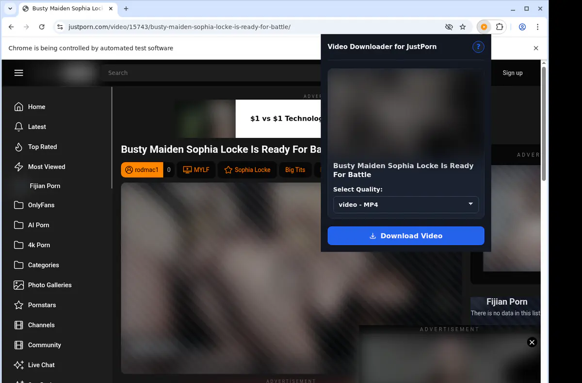 Justporn Video Downloader browser extension screenshot 3